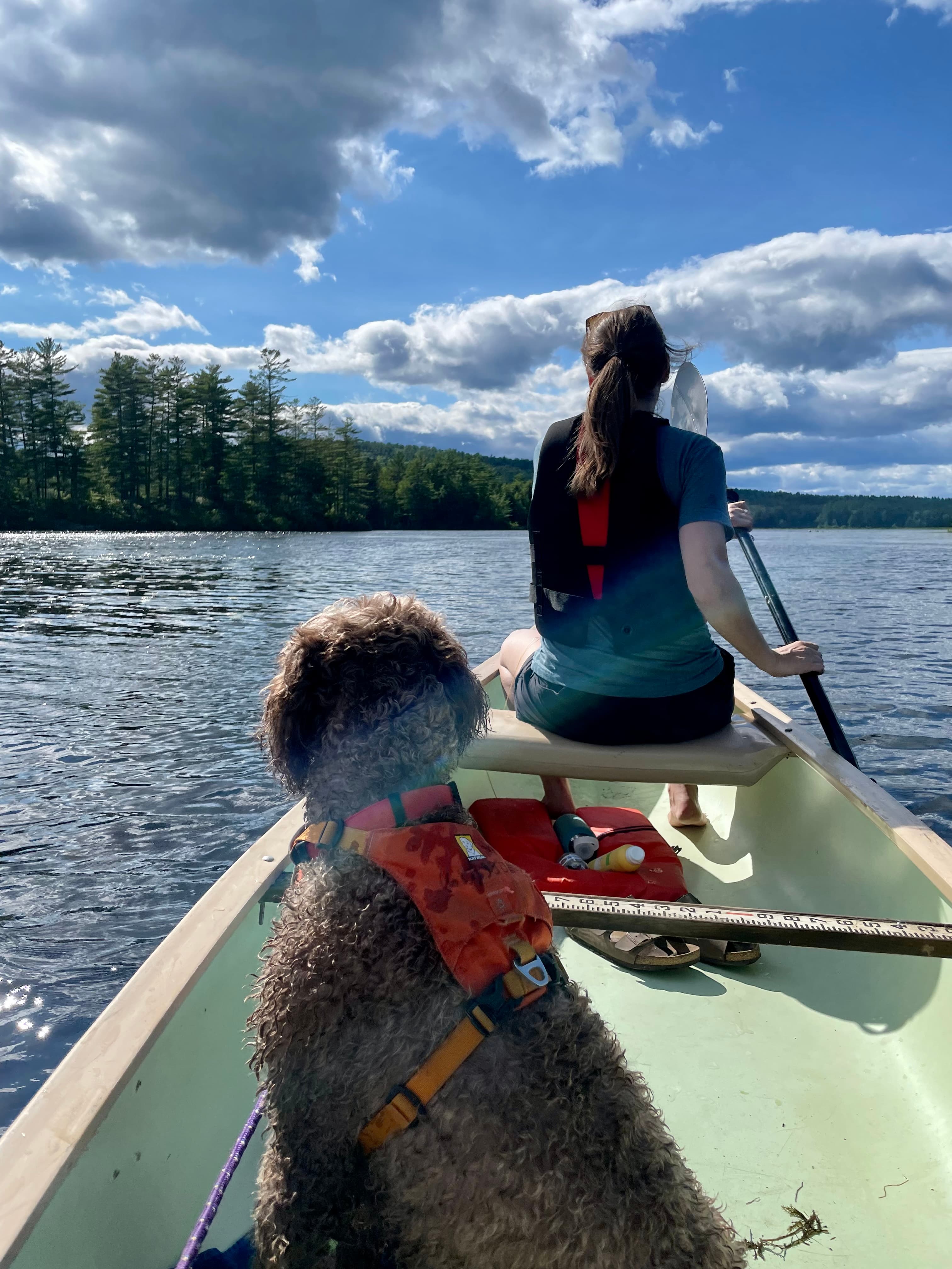 Up in Maine